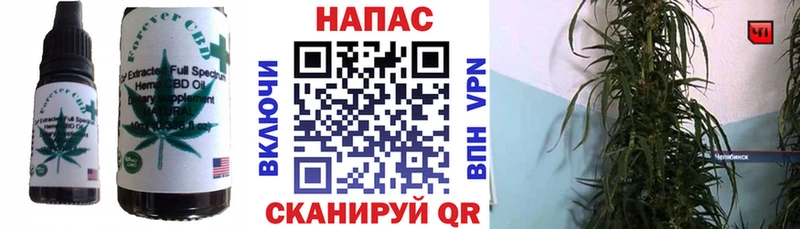 МЕГА ONION  Злынка  Canna-Cookies конопля  продажа наркотиков 
