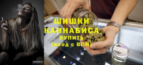 прущие грибы Покров