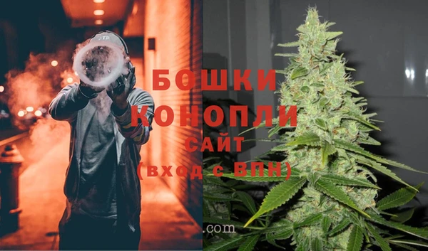 сатива Баксан